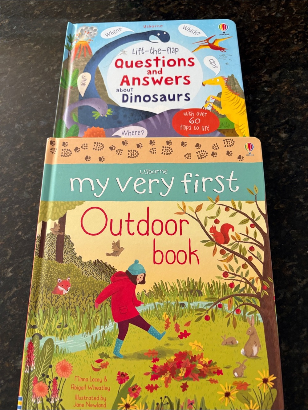 Usborne books-My Very First Outdoor and Questions and Answers about Dinosaurs